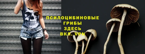 МДПВ Верхний Тагил