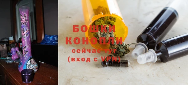 гидра Вязьма