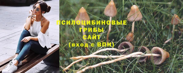 ГАЛЛЮЦИНОГЕННЫЕ ГРИБЫ Бородино