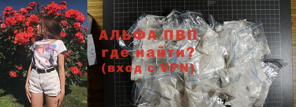 гидра Вязьма
