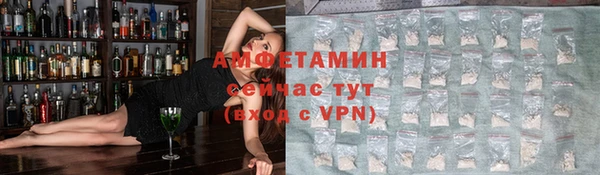 гидра Вязьма