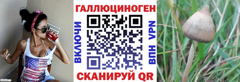 Галлюциногенные грибы MAGIC MUSHROOMS  Дагестанские Огни 